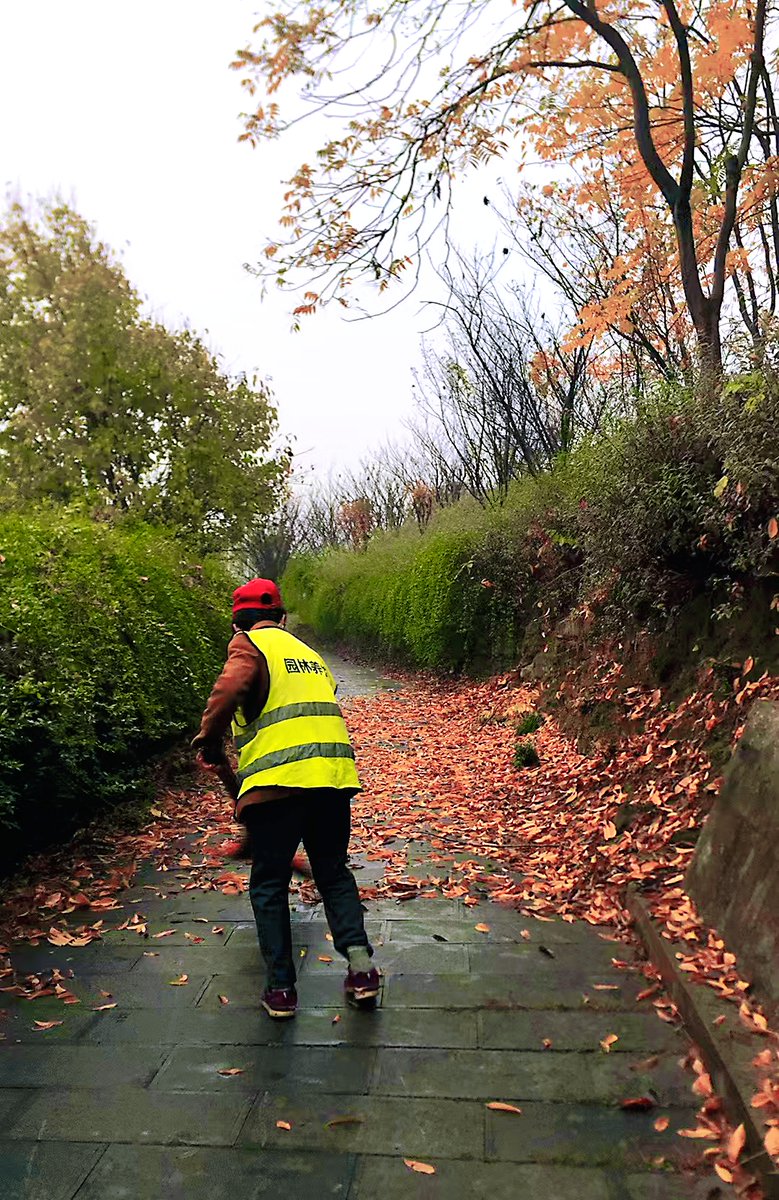 Brett Sheldon tweet media