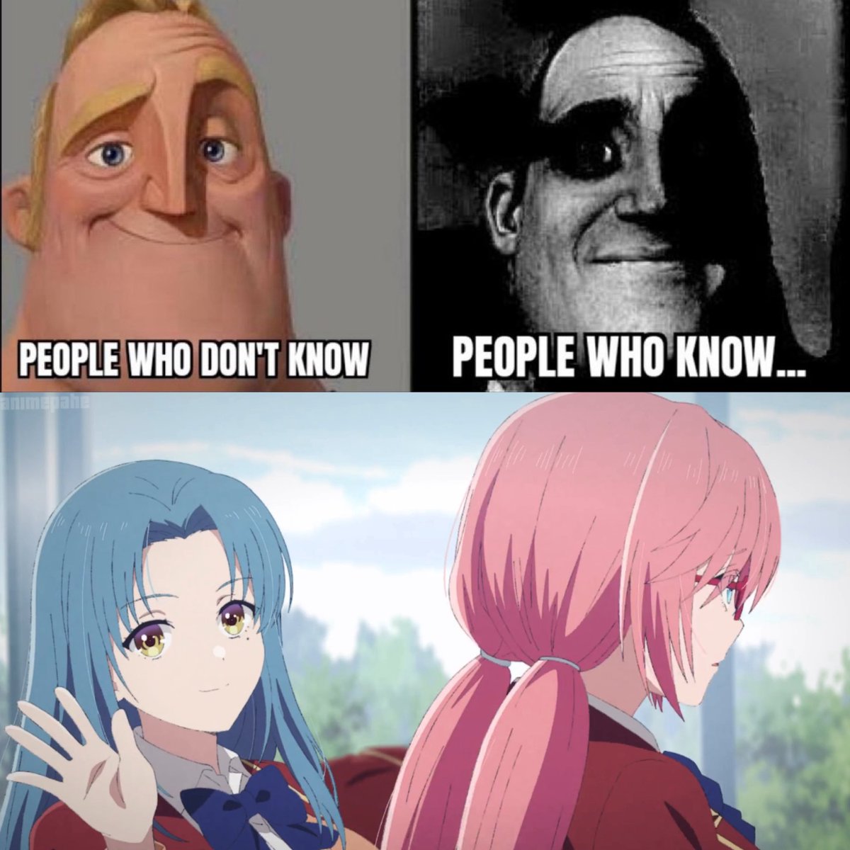 Sebas 🇧🇴 tweet media