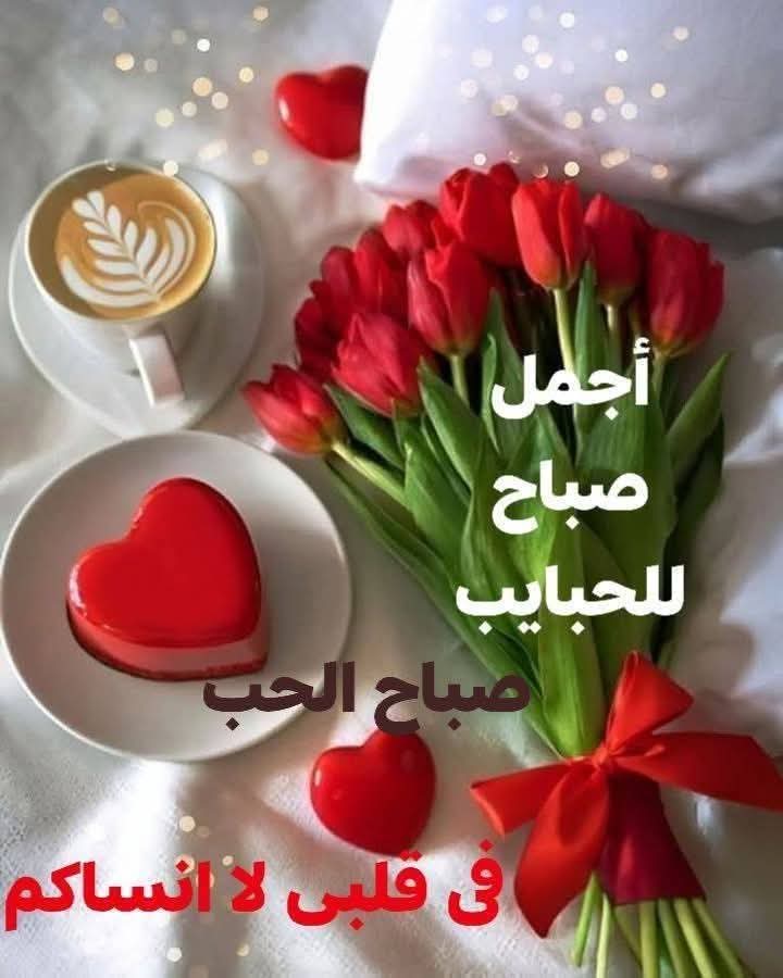 EsamFerig's tweet photo. @wrdljwry967073 https://t.co/uMuxGcNrTa