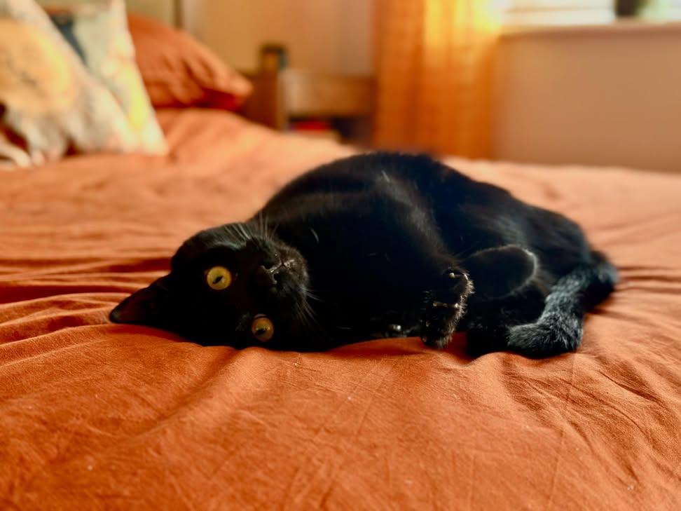 Sara Mary ⭐❤️ tweet media