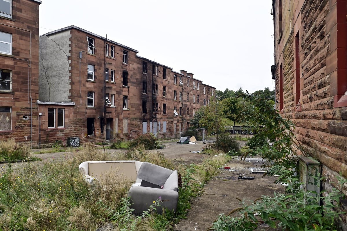 Ben Graham tweet media