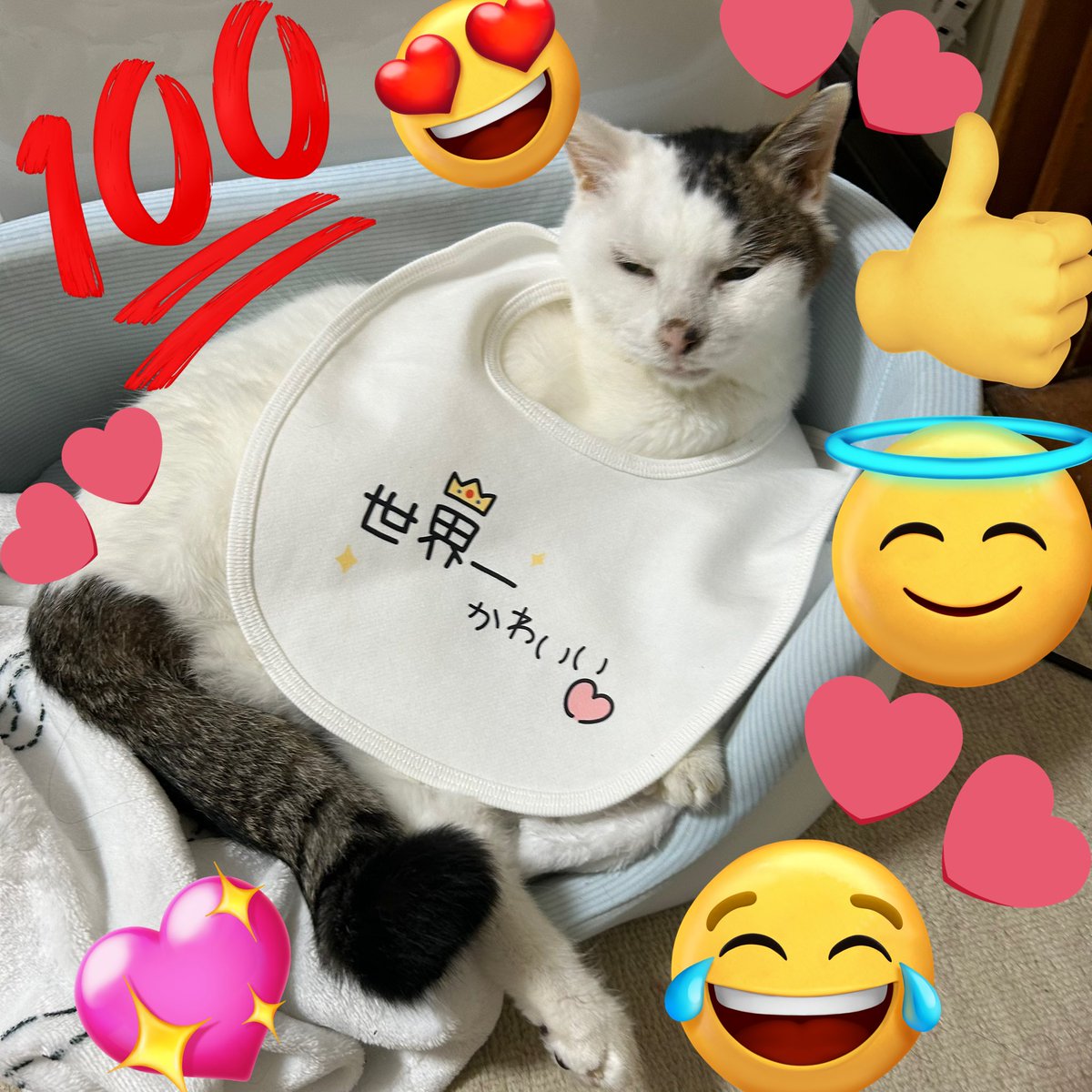 透藤るい-透明人間Vtuber- tweet media