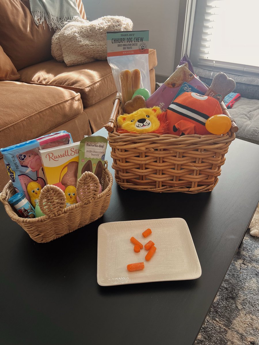 samsandland22's tweet image. 'Twas a beautiful Easter indeed. 💗🐣🐰💛

#dogmom