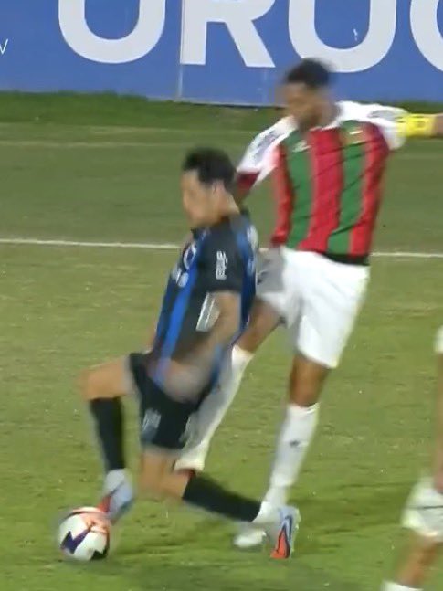 BOLSOPASION tweet media