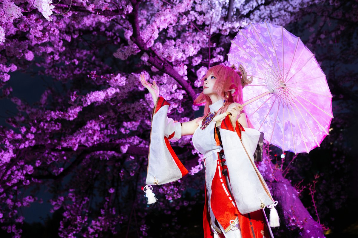 #GenshinImpact #YaeMiko #CherryBlossom 

🌸 🌸 🌸 🦊☂️