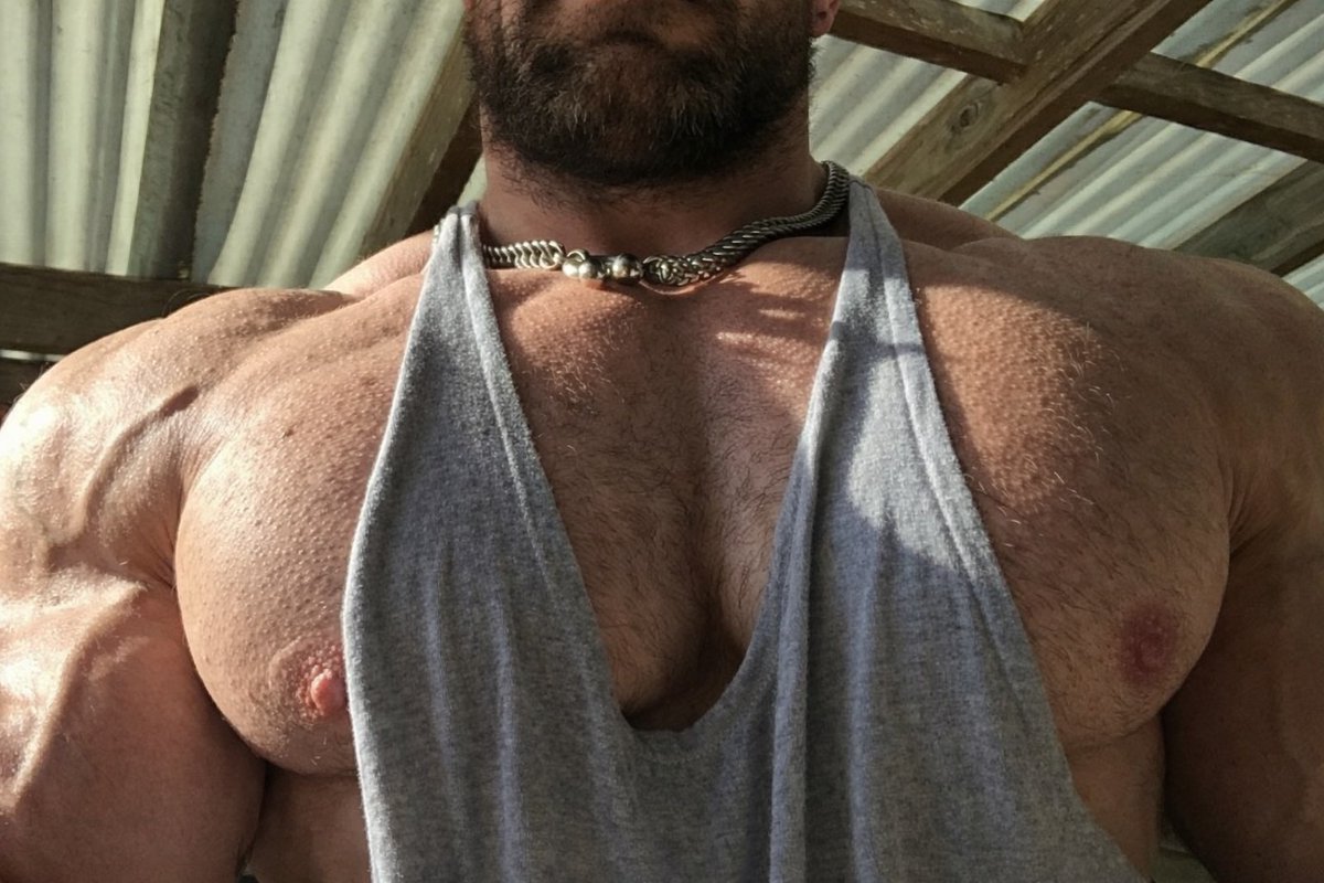 OxBastion tweet media