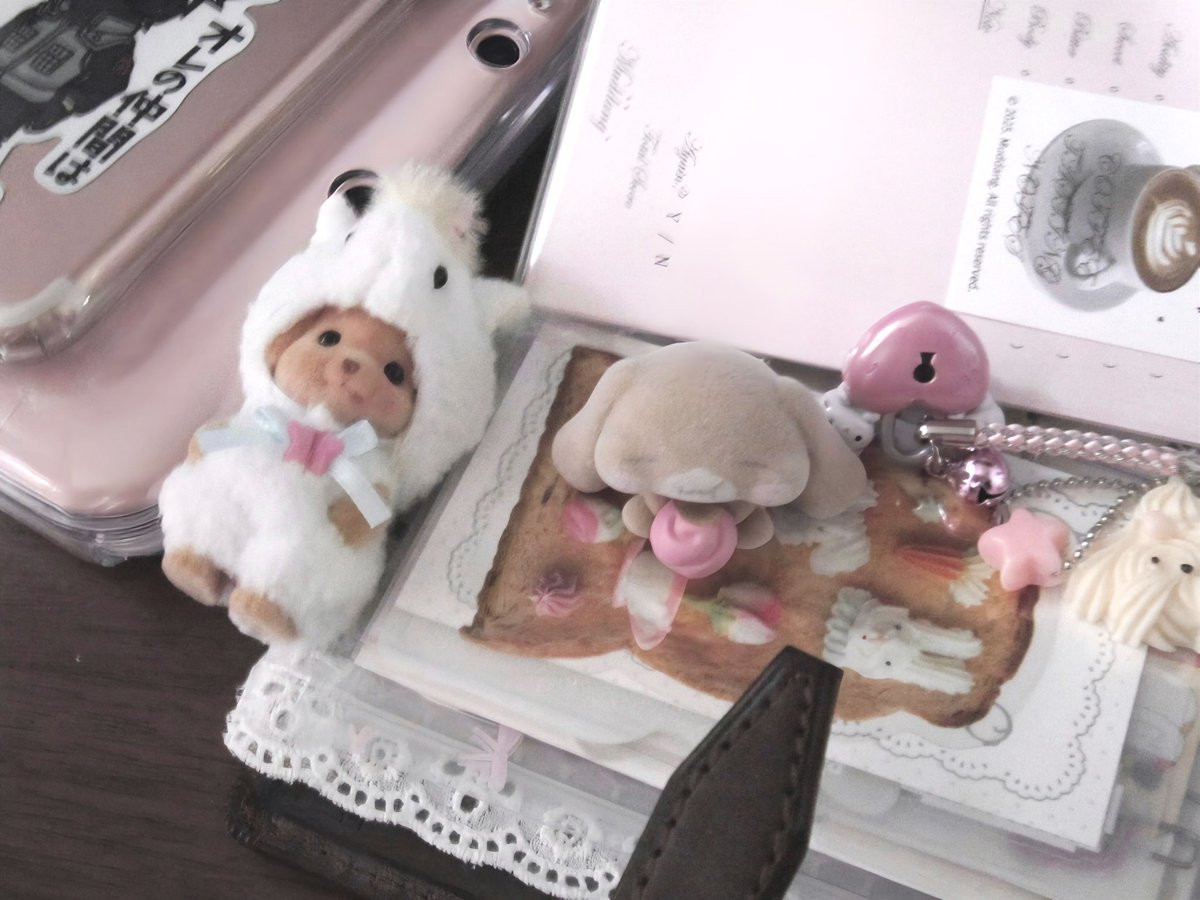 whochankawaii's tweet photo. 📷♡ https://t.co/iQ3X297X3j