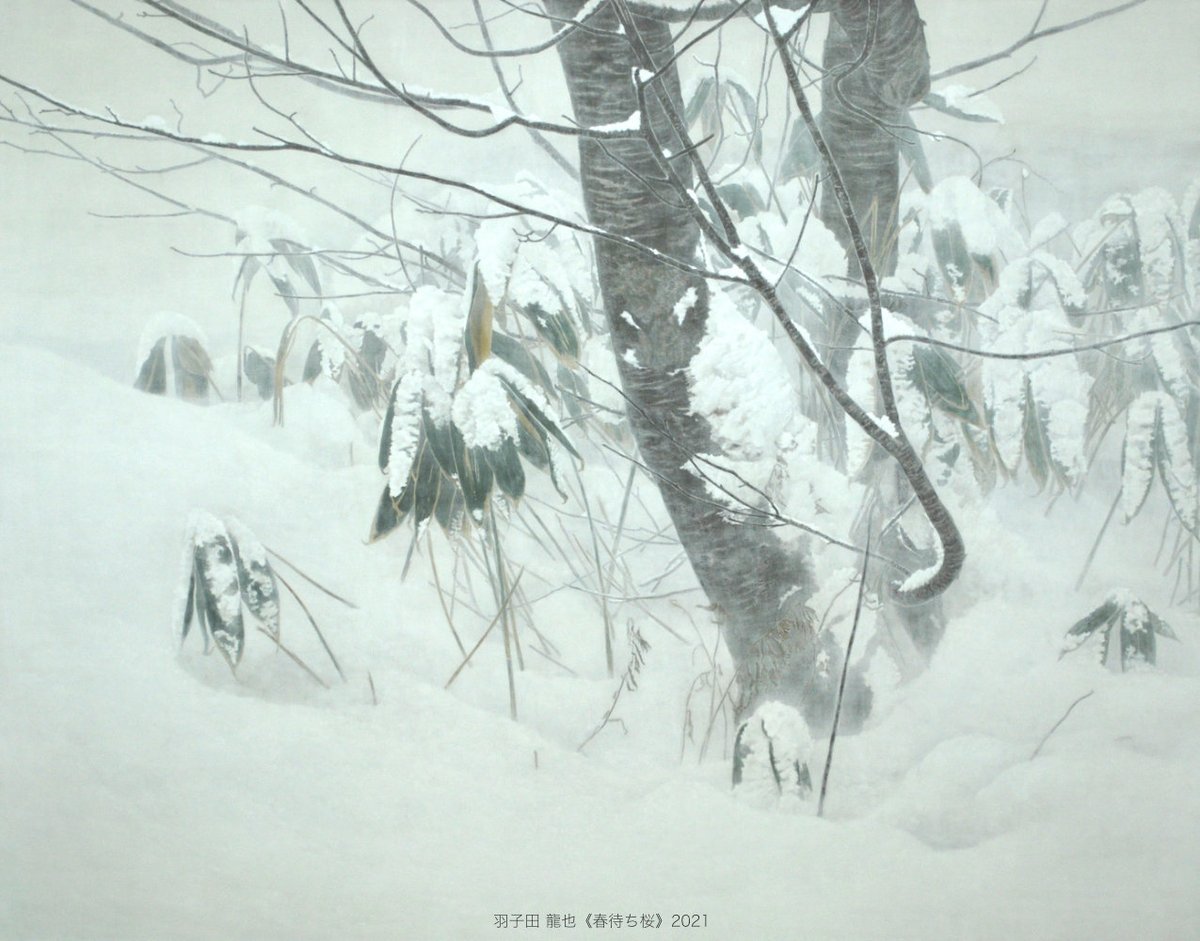 札幌大通地下ギャラリー 500m美術館 tweet media