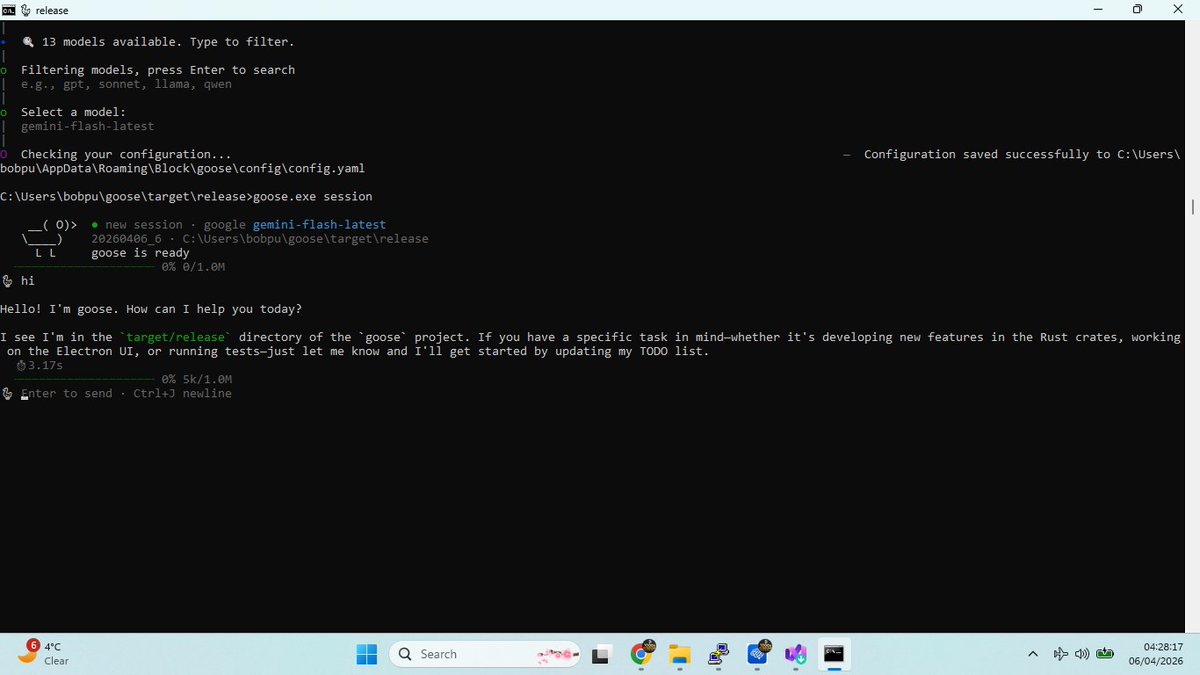 seda_ayseg's tweet image. who is got goose boom

#ai #goose