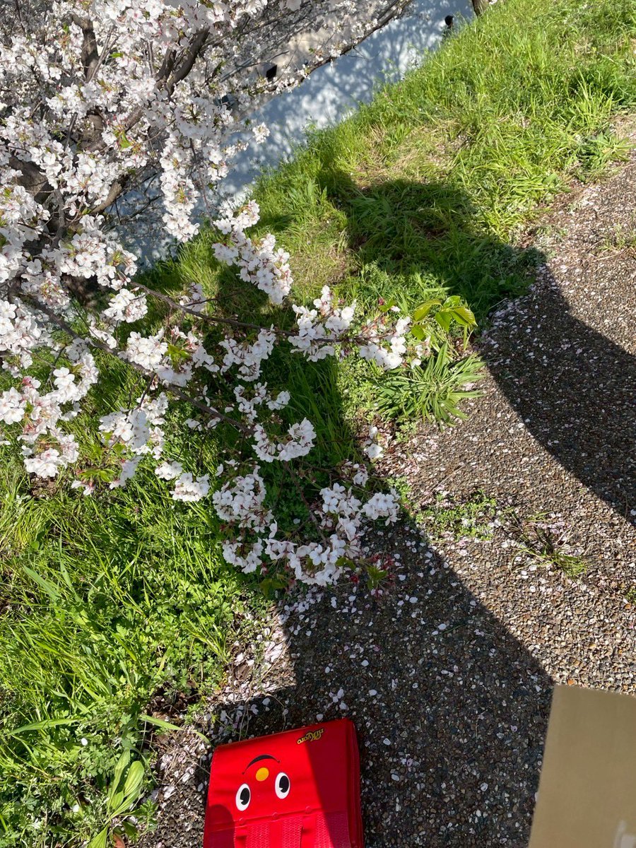 らむらむ tweet media