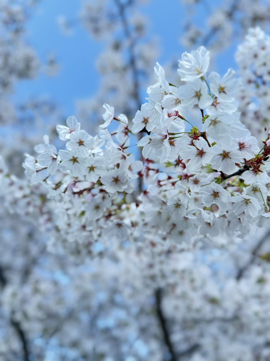 らむらむ tweet media