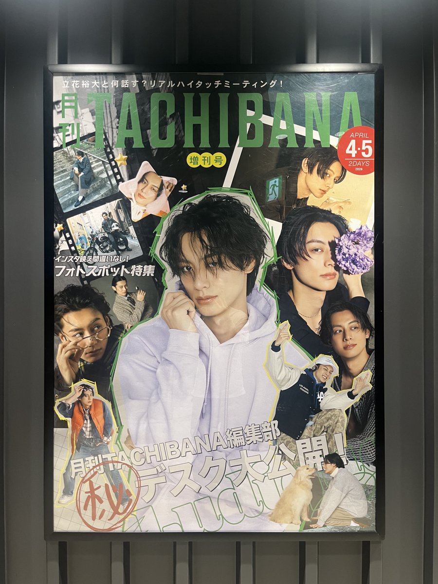 立花裕大 OFFICIAL tweet media