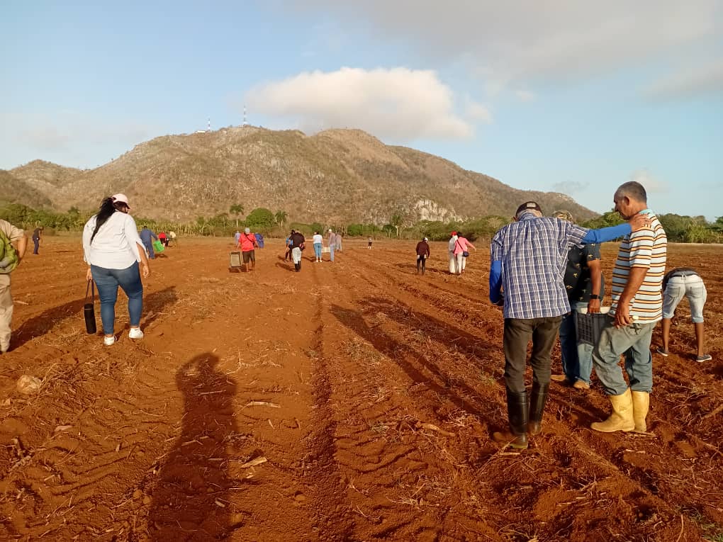 YanelAlejandro's tweet photo. Se continúa trabajando en la #IslaDeLaJuventud #Cuba #HonorYGloria #UnidosXCuba #SentirPinero @DiazCanelB @MMarreroCruz @rlicea_mojena @DrRobertoMOjeda  #ContraLaDrogaSeGana #LaLuchaNoHaCesado #CubaEstaFirme #100AñosConFidel https://t.co/Y6ZTJuub8Y