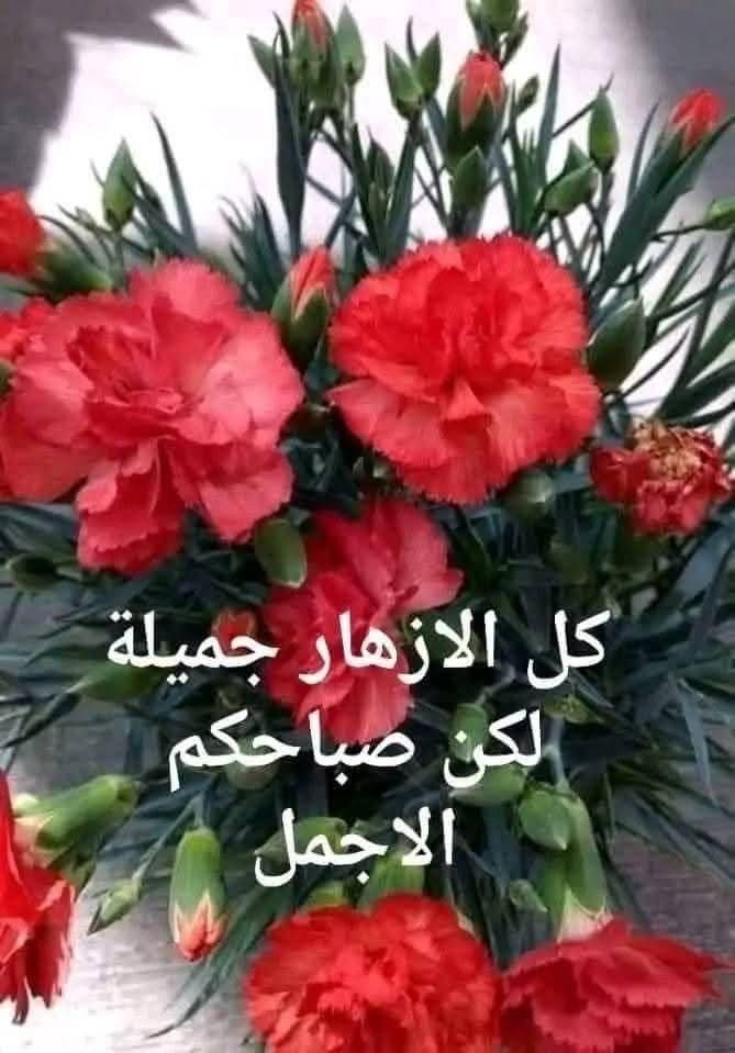 EsamFerig's tweet photo. @wrdljwry967073 https://t.co/RodAInA0TU