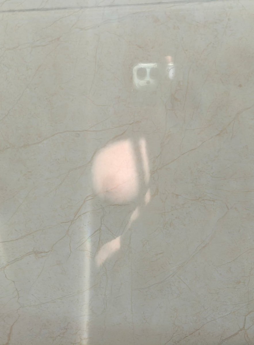 蕾蕾杨 tweet media