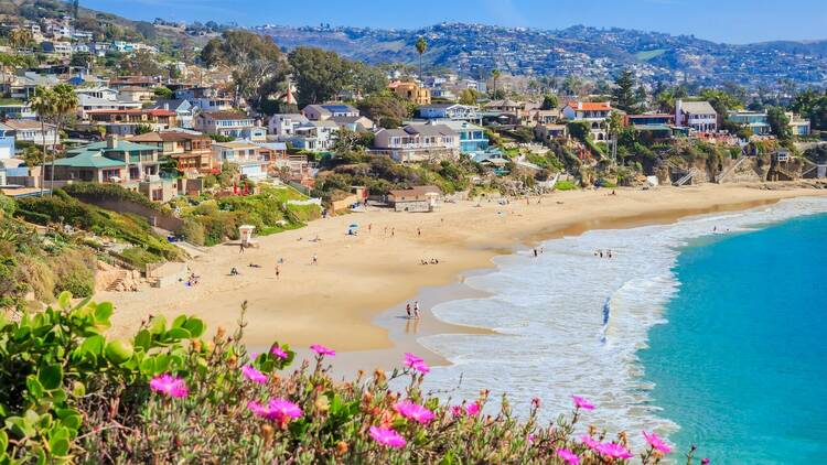 Peter A Patriot tweet media