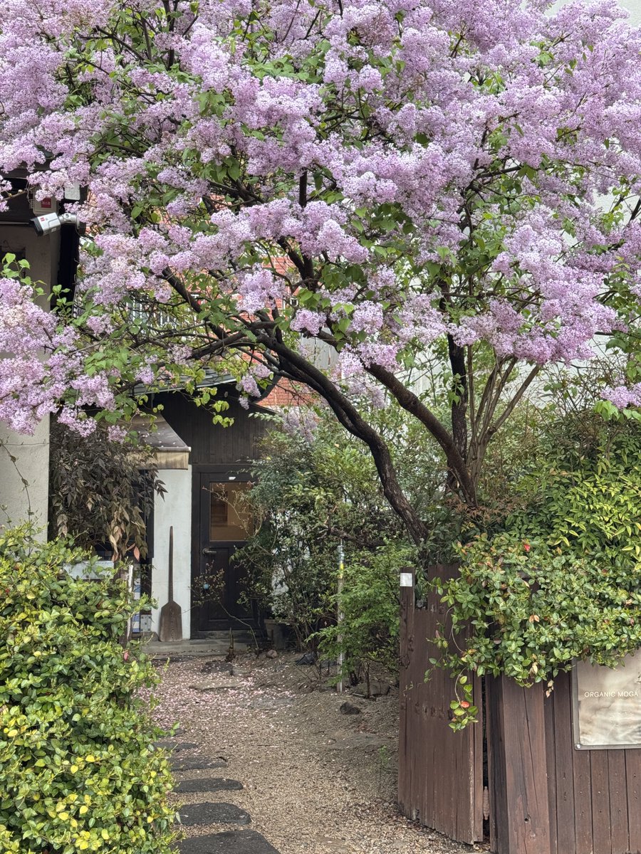 𝑖𝑛𝑔 tweet media