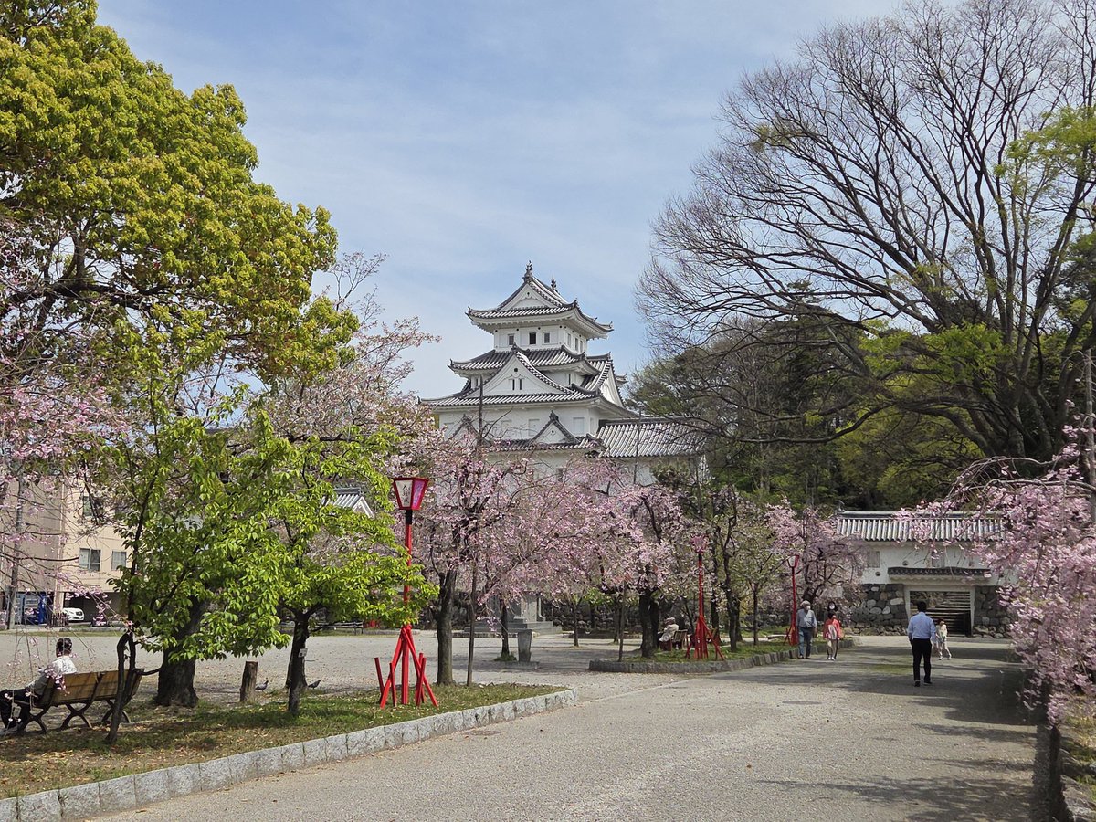 Takashi Hatai tweet media