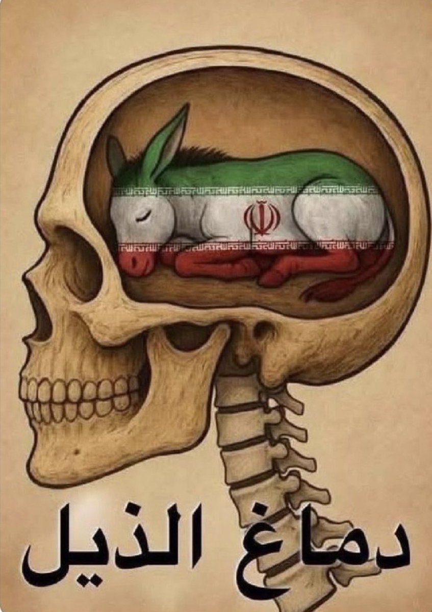 _hamalel33's tweet photo. @AJArabic عساك تلحقه، اليوم قبل بكرا. https://t.co/Bu1gWZhGye
