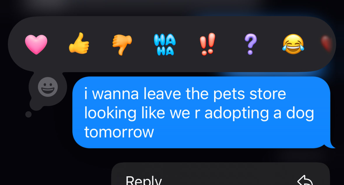 charlotte tweet media