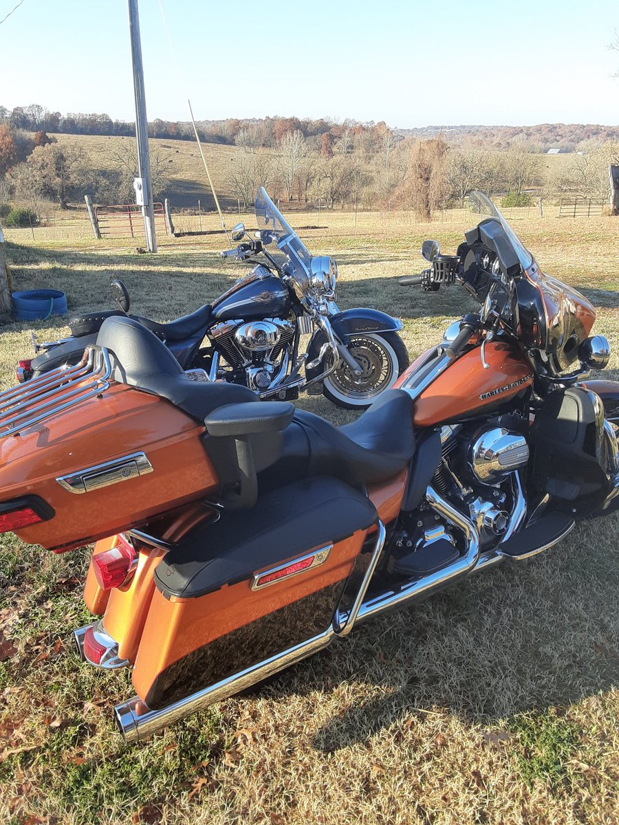 Irishman Biker tweet media