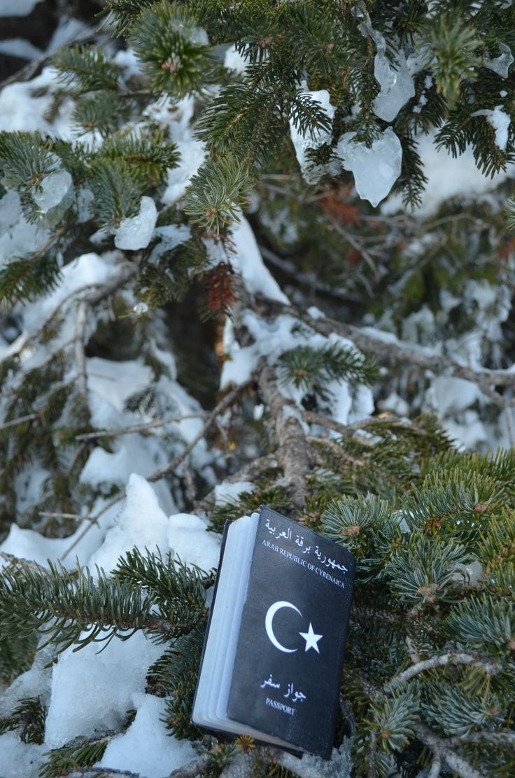 آيـريـون | Aïrïon tweet media