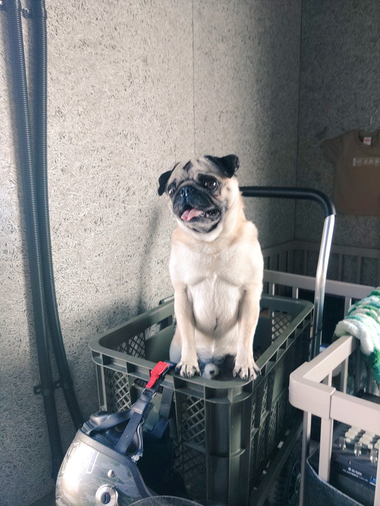 浮 DTMおじさん 12/06 GLAY／MikiPiano投稿！！ tweet media