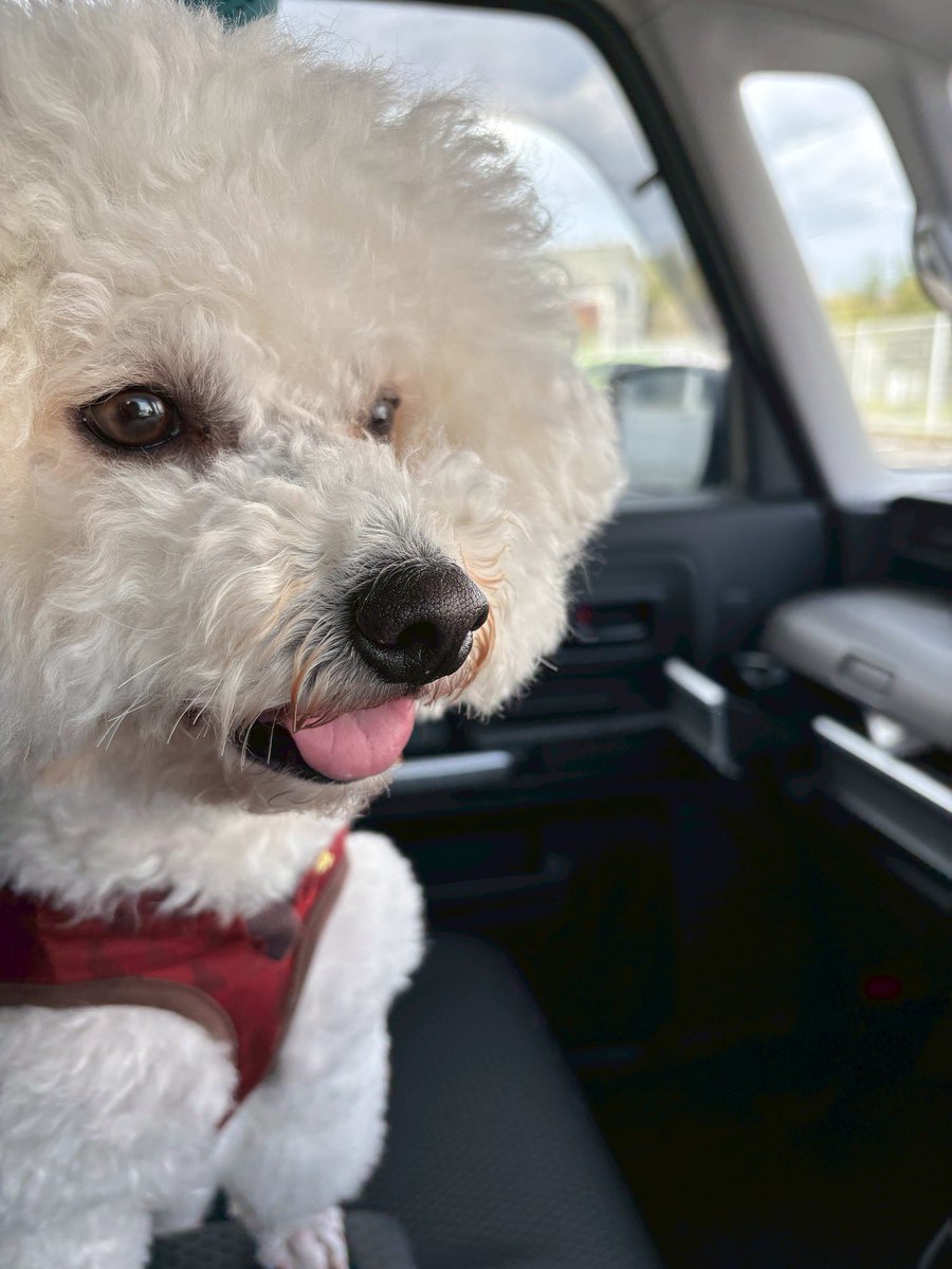 おこめ tweet media