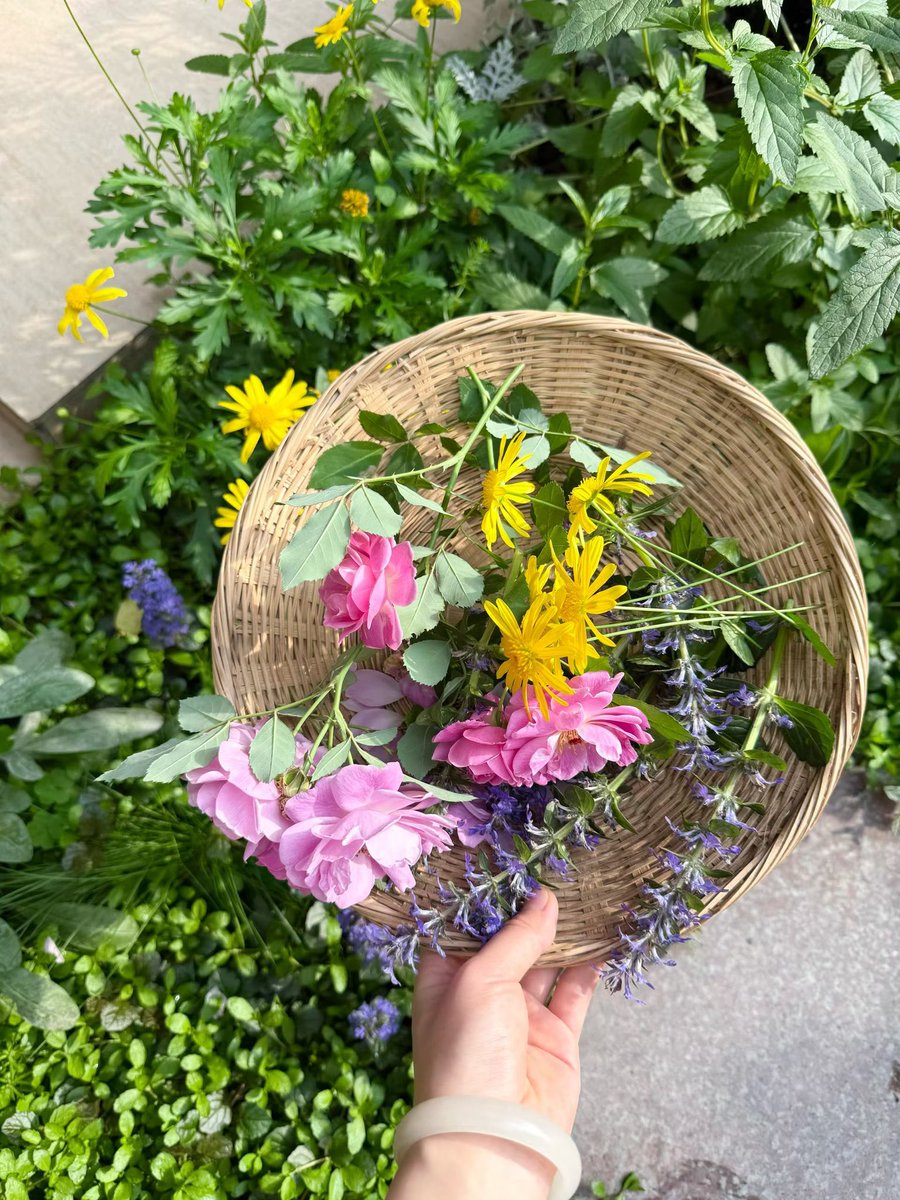 大魔王提莫 tweet media