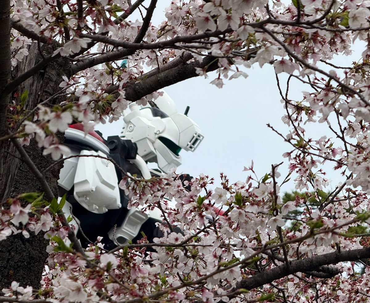 ひーさん🐺 tweet media