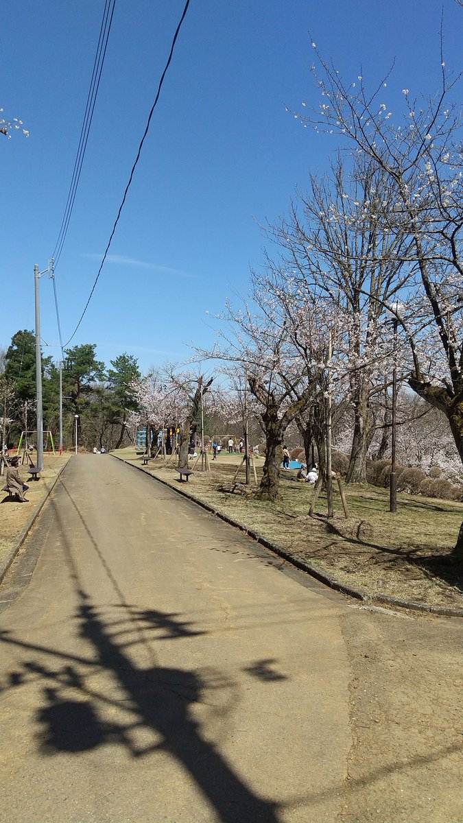 でぃー tweet media