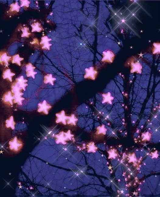 Stargirl tweet media