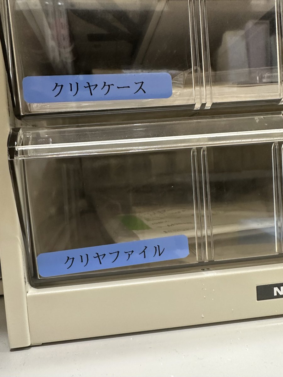 ⋆͛yσppie⋆͛しんご tweet media