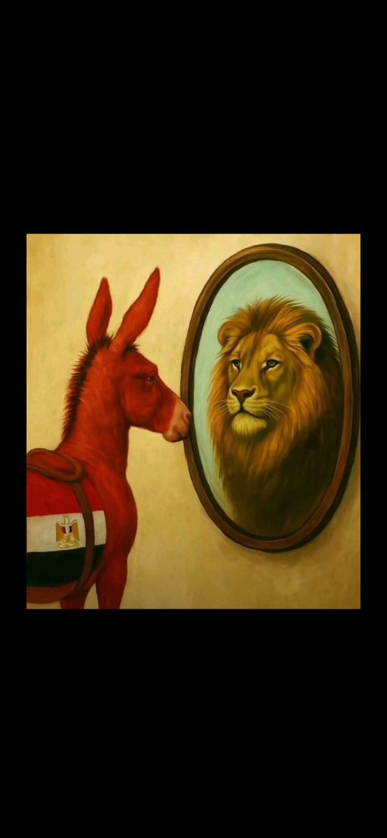 .ابوالنصر🇸🇾🇸🇦 tweet media