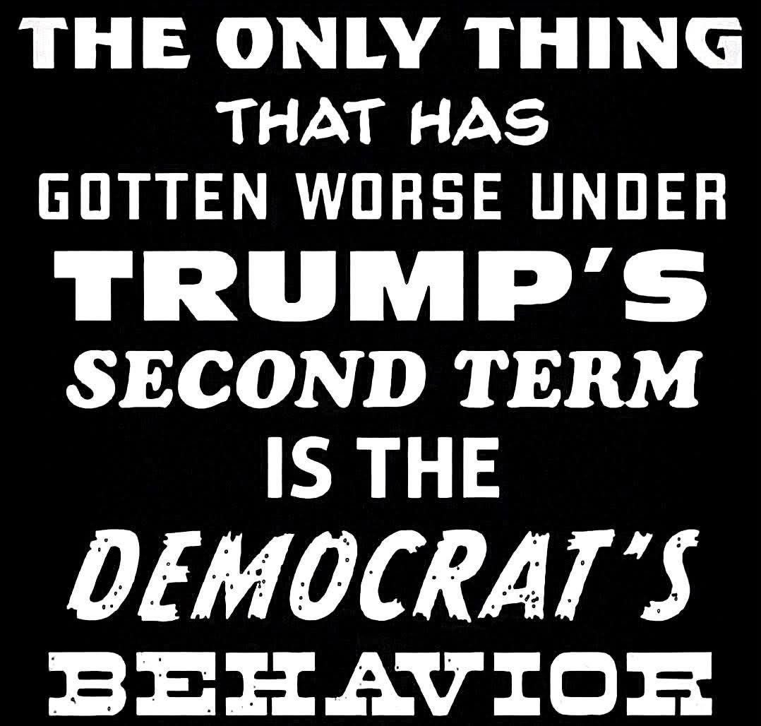 Ultra MagaBA🇺🇸 tweet media