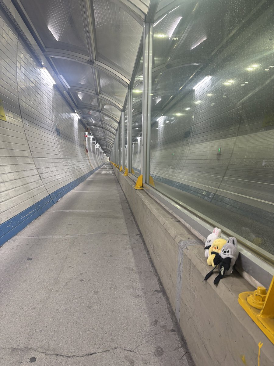 るん🐺 tweet media