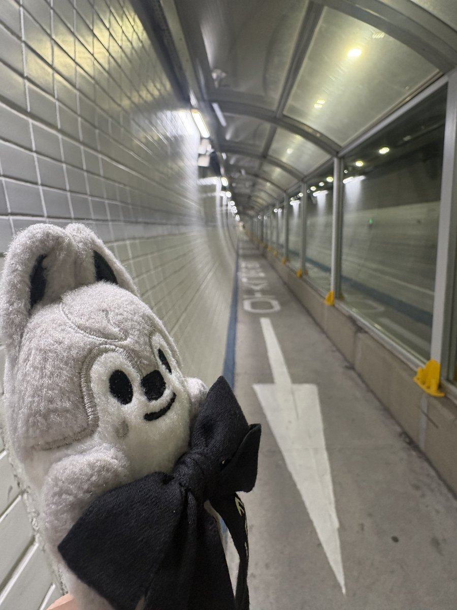 るん🐺 tweet media