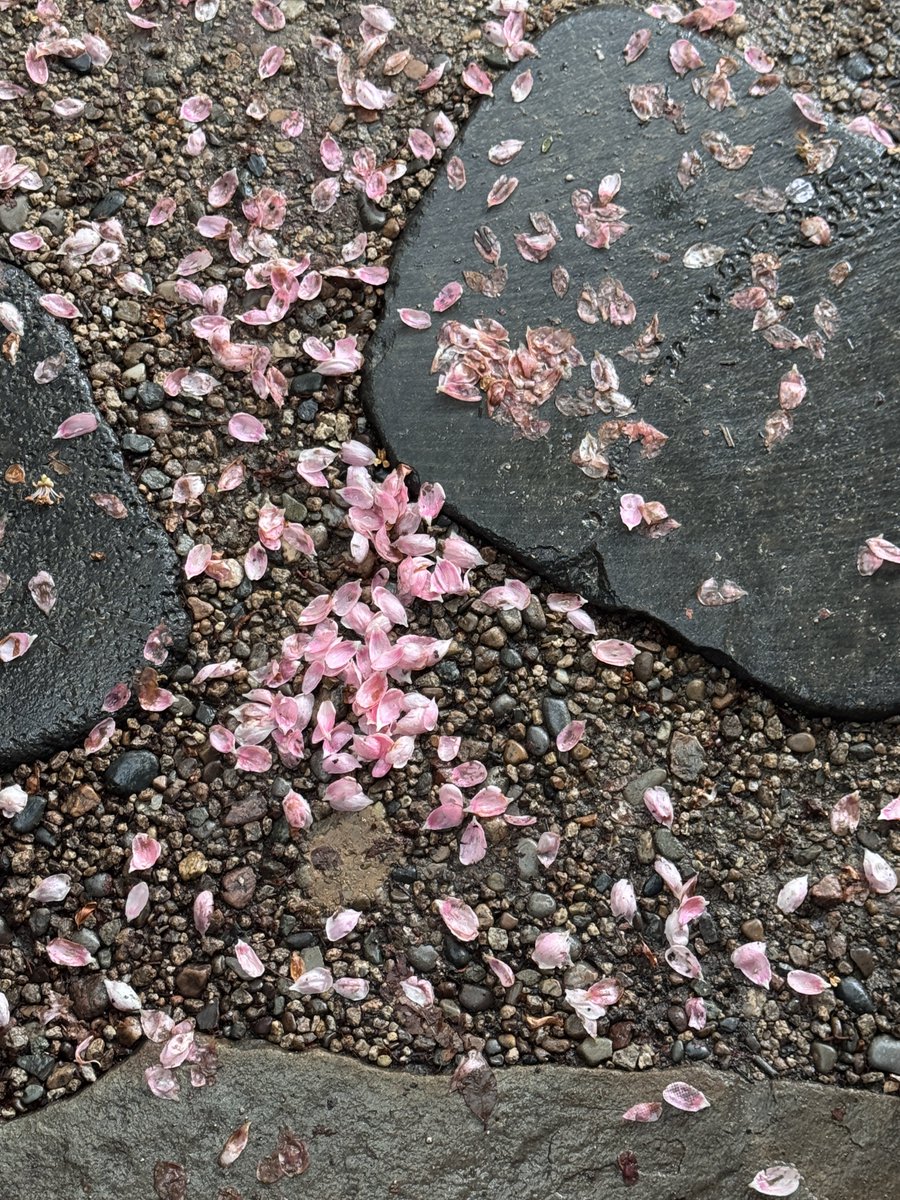 𝑖𝑛𝑔 tweet media