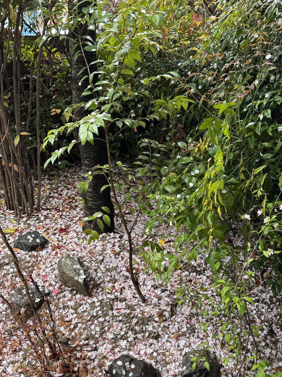 𝑖𝑛𝑔 tweet media