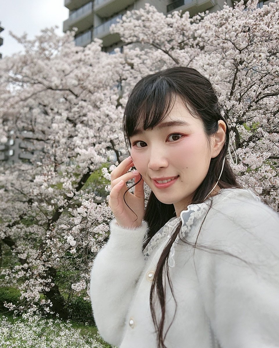 ………………⚘️⚘️⚘️………………
駆け込み桜。
楽しかったよ～！