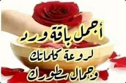 EsamFerig's tweet photo. @NourAhm42219425 https://t.co/KSBlXI4e9j