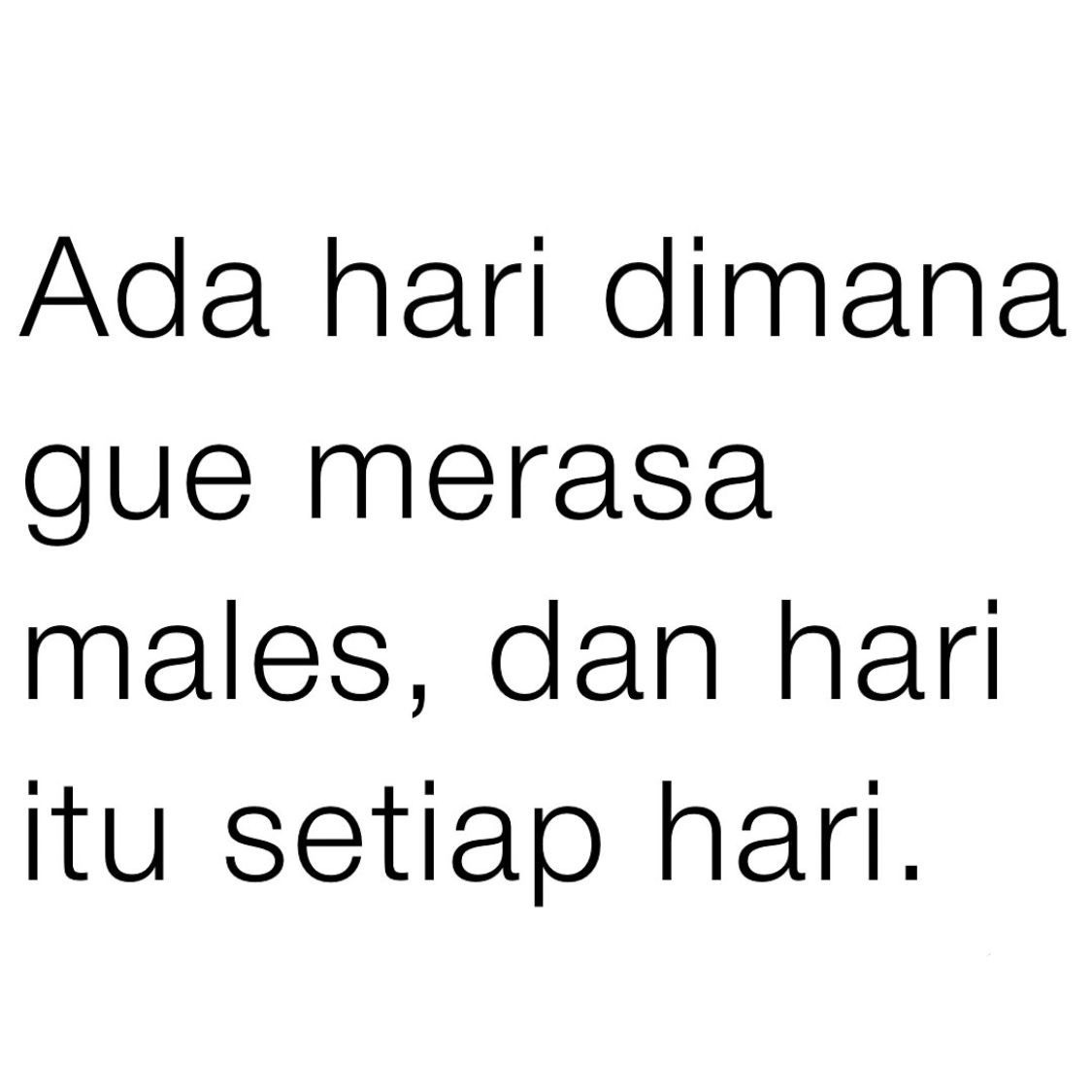 yauda maap tweet media