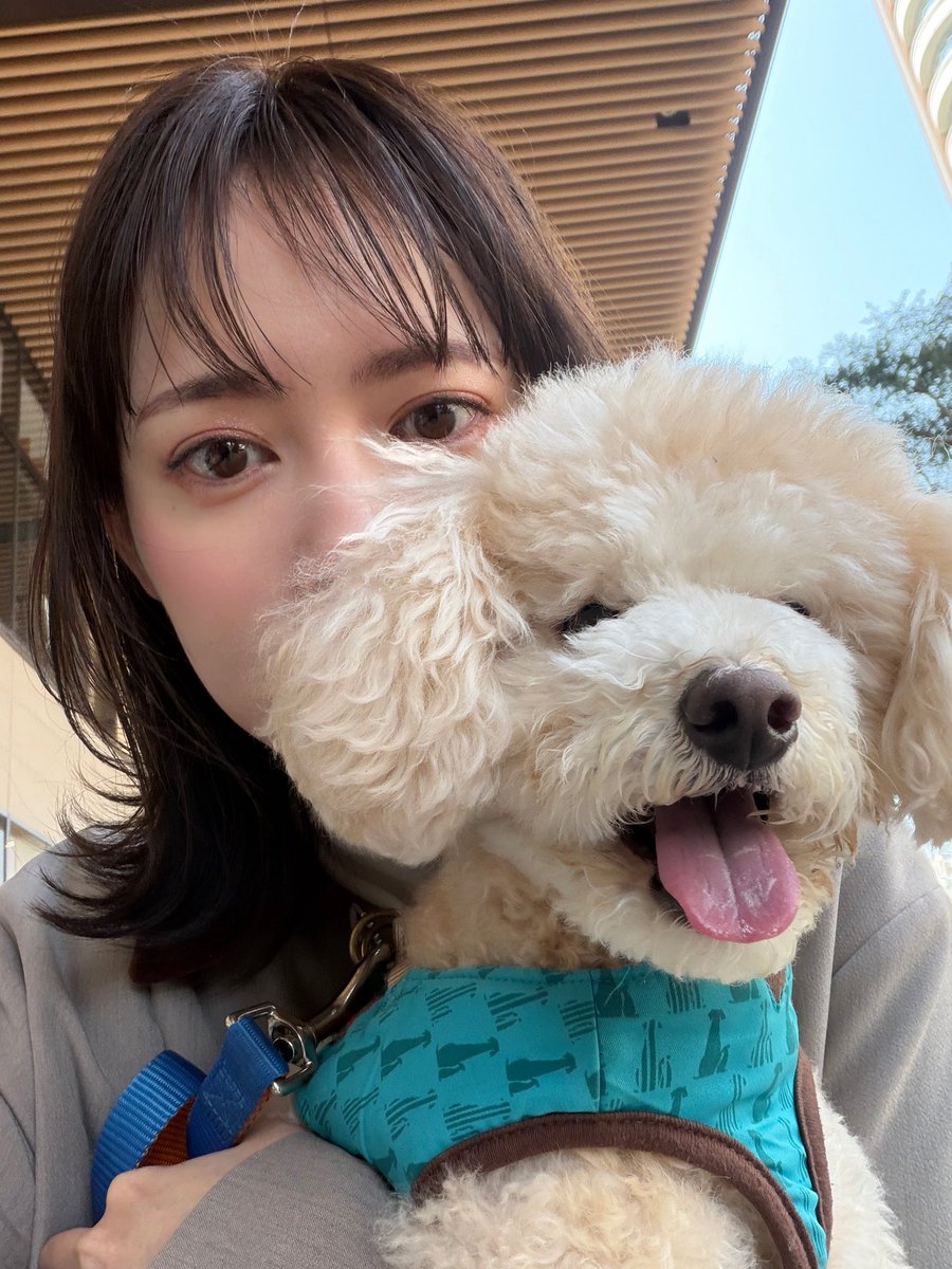 八木美佐子 tweet media