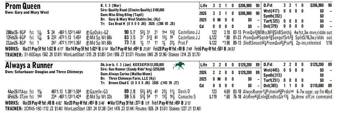 Nick Tammaro tweet media