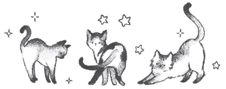 vittkzz | #studytwt tweet media