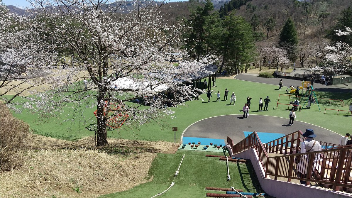 でぃー tweet media