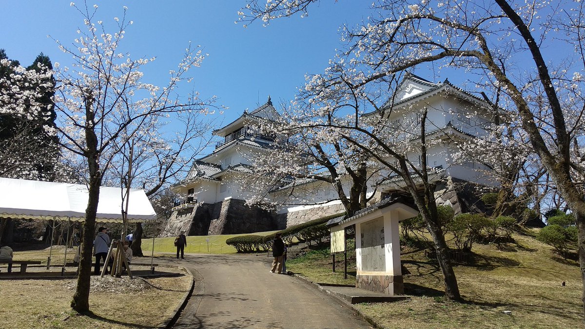 でぃー tweet media