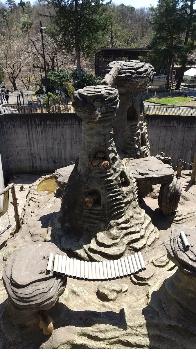 でぃー tweet media