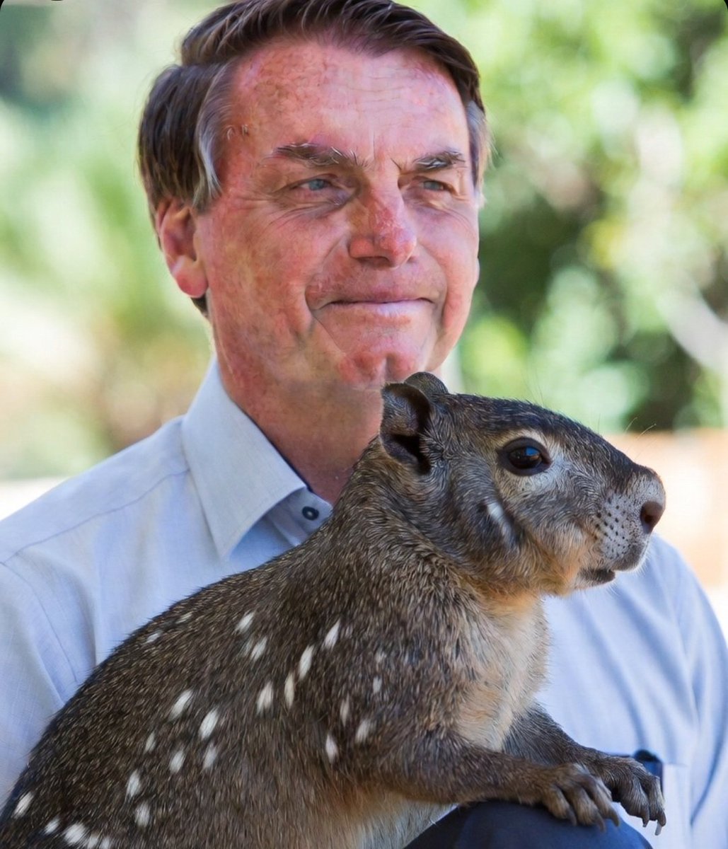 Joaquin Teixeira tweet media