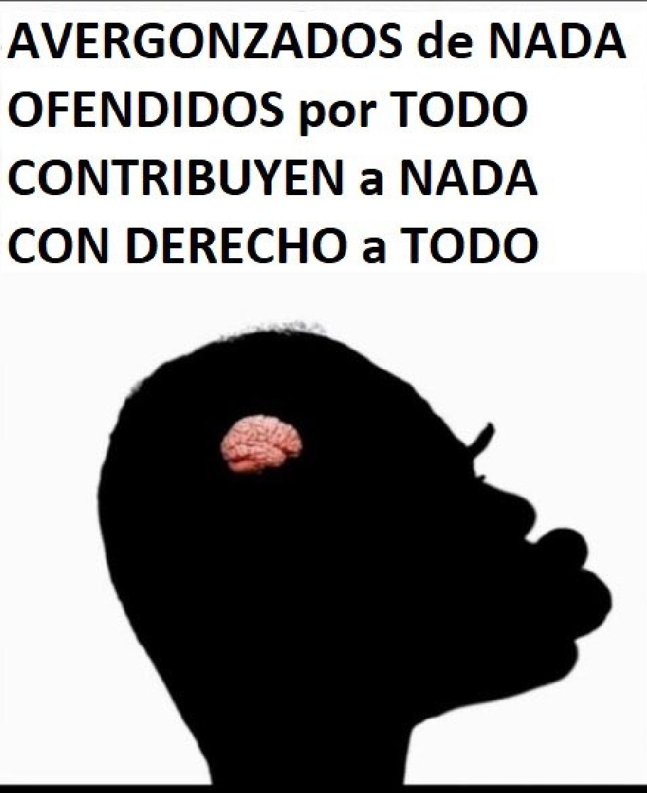 antichaveztia-opoficcion tweet media